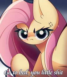 Size: 2000x2300 | Tagged: safe, artist:miryelis, derpibooru import, fluttershy, pegasus, pony, big ears, big eyes, cross-popping veins, ears, emanata, female, frown, gradient background, high res, hush now quiet now, long hair, looking at you, mare, meme, serious, solo, text, vulgar