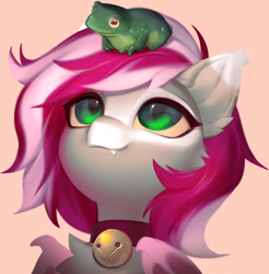 Size: 1261x1280 | Tagged: safe, artist:mikkavensual, derpibooru import, oc, oc only, bat pony, frog, pony, bat pony oc, bat wings, bell, bell collar, bust, collar, ear fluff, ears, eyelashes, fangs, female, female oc, green eyes, looking up, portrait, slit eyes, snout, solo, two toned mane, wings