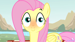 Size: 1920x1080 | Tagged: safe, artist:canaryprimary, derpibooru import, fluttershy, pegasus, pony, blushing, cute, eyebrows, faic, female, great moments in animation, hypnotoad, looking at you, mare, show accurate, shyabetes, smear frame, solo