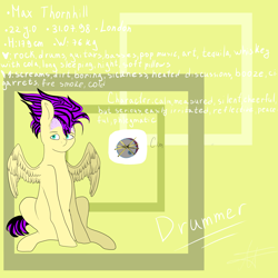 Size: 5000x5000 | Tagged: safe, artist:deadsmoke, derpibooru import, oc, oc:max thornhill, pegasus, reference sheet