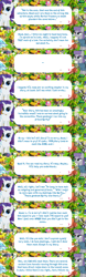 Size: 2048x6555 | Tagged: safe, derpibooru import, maud pie, rarity, earth pony, pony, unicorn, clothes, dialogue, dialogue box, error, event, female, gameloft, horn, mare, mobile game, my little pony: magic princess, official, speech bubble, text