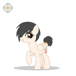 Size: 3000x3000 | Tagged: safe, artist:r4hucksake, derpibooru import, oc, oc only, oc:dreamcatcher, pegasus, pony, female, mare, simple background, solo, transparent background