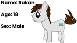 Size: 1897x1051 | Tagged: safe, artist:awesomebrony, derpibooru import, oc, oc only, oc:rakan, earth pony, pony, adobe illustrator, closed mouth, computer, description, gray, hooves, laptop computer, male, reference sheet, side view, simple background, smiling, solo, stallion, standing, text, white background