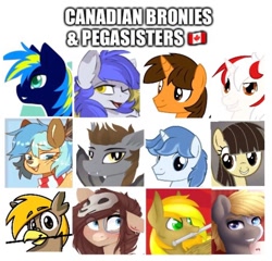 Size: 1102x1056 | Tagged: safe, derpibooru import, wild fire, oc, oc:chime maplewood, oc:devin, oc:ej, oc:gabriel, oc:ondrea, oc:pad, oc:ultra marine, oc:winter solstice, bat pony, deer, earth pony, griffon, pegasus, pony, unicorn, canada, canadian, clothes, cute, dialogue, female, group, heterochromia, looking at you, male, mare, one eye closed, scarf, skull, stallion, text, tribal, tribal markings, unnamed oc, wink