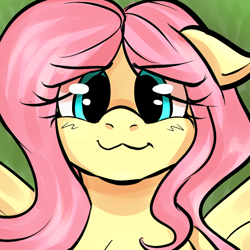 Size: 800x800 | Tagged: safe, artist:marubup, derpibooru import, fluttershy, pegasus, pony, :3, bust, close-up, cute, ears, eye clipping through hair, eyebrows, eyebrows visible through hair, female, floppy ears, looking at you, mare, shyabetes, smiling, smiling at you, solo