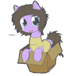 Size: 4500x4500 | Tagged: safe, artist:cactuscruncher, derpibooru exclusive, derpibooru import, earth pony, pony, absurd resolution, blue eyes, blushing, box, brown mane, clothes, emo, facial hair, josh franceschi, looking at you, male, messy mane, messy tail, open mouth, ponified, pony in a box, purple coat, shiny eyes, shirt, simple background, solo, species swap, stallion, t-shirt, tail, talking to viewer, transparent background, you me at six
