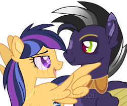 Size: 1249x1042 | Tagged: safe, artist:traveleraoi, derpibooru import, oc, oc only, oc:nova star sparkle, oc:xipilli, hybrid, pegasus, pony, base used, blind, blind eye, colored pupils, colored wings, duo, duo male and female, eyebrows, facial markings, female, flirting, gradient mane, interspecies offspring, jewelry, looking at each other, looking at someone, male, mare, necklace, next generation, oc x oc, offspring, parent:ahuizotl, parent:daring do, parent:flash sentry, parent:twilight sparkle, parents:darizotl, parents:flashlight, pegasus oc, peytral, raised eyebrow, scar, shipping, simple background, stallion, straight, transparent background, watermark, wings