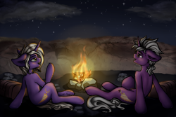 Size: 4500x3000 | Tagged: safe, artist:erie takagi, derpibooru import, oc, oc:caesius lucius luculus, oc:fulgrim luculus, pony, unicorn, camping, desert, fire, male, night, sand, siblings, stars