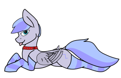 Size: 2956x1909 | Tagged: safe, artist:dsksh, derpibooru import, oc, oc only, oc:discoordination, pegasus, clothes, collar, folded wings, looking at you, lying, male, pegasus oc, simple background, socks, solo, stallion, striped socks, tongue, tongue out, transparent background, wings