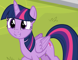 Size: 1114x855 | Tagged: safe, derpibooru import, screencap, twilight sparkle, twilight sparkle (alicorn), alicorn, pony, horse play, season 8, spoiler:s08, adorkable, cropped, cute, dork, female, folded wings, mare, smiling, solo, twiabetes, wings