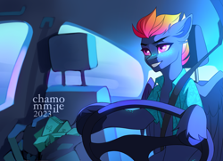 Size: 3237x2340 | Tagged: safe, artist:chamommile, derpibooru import, oc, oc only, oc:slipstream, pegasus, pony, bag, car, car interior, car seat, clothes, commission, dark skin, driving, ear fluff, ears, ears up, half body, light, lightning, looking up, male, money, money bag, pegasus oc, pink eyes, sitting, smiley face, smiling, solo, wings, ych result