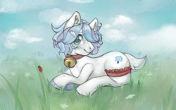 Size: 1680x1050 | Tagged: safe, artist:corpsplant, derpibooru import, oc, oc only, earth pony, pony, bell, bell collar, collar, earth pony oc, female, grass, solo