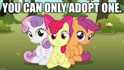 Size: 1280x720 | Tagged: safe, derpibooru import, edit, edited screencap, screencap, apple bloom, scootaloo, sweetie belle, earth pony, pegasus, pony, unicorn, the fault in our cutie marks, adoption, bronybait, caption, cute, cutie mark crusaders, female, filly, foal, frown, image macro, looking at you, sadistic choice, sitting, text, trio