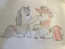 Size: 4032x3024 | Tagged: safe, derpibooru import, oc, oc only, oc:cinnamon lightning, oc:eve, pony, unicorn, bell, bell collar, boop, collar, horn, pencil drawing, traditional art, unicorn oc