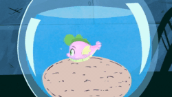 Size: 1920x1080 | Tagged: safe, artist:anontheanon, spike, fish, animated, antithology 2, fishbowl, male, meme, mp4, ponified, ponified meme, puffer fish, singing, solo, sound, species swap, spike the pufferfish, swimming
