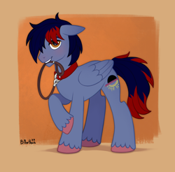 Size: 5102x5013 | Tagged: safe, artist:birdoffnorth, derpibooru import, oc, oc only, oc:dawn chaser, pegasus, pony, blushing, collar, colored hooves, commission, ears, floppy ears, g4 style, leash, looking at you, male, male oc, mouth hold, pegasus oc, pet play, shy, simple background, smiling, smiling at you, solo, stallion, stallion oc, standing, submissive, tail, two toned mane, two toned tail, unshorn fetlocks, wings