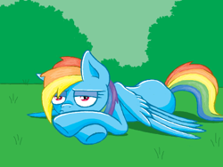 Size: 520x390 | Tagged: safe, artist:the-nose, derpibooru import, pegasus, pony, bored, crossed hooves, doodle or die, female, grass, grass field, lidded eyes, lying down, mare, outdoors, prone, solo