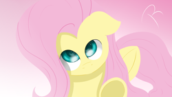 Size: 5760x3240 | Tagged: safe, artist:reinbou, derpibooru import, fluttershy, pegasus, pony, female, gradient background, looking at you, mare, solo