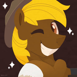 Size: 750x750 | Tagged: safe, artist:talim_stuff, derpibooru import, oc, oc only, earth pony, pony, bust, cowboy hat, grin, hat, looking at you, male, one eye closed, smiling, smiling at you, solo, sparkles, stallion, wink, winking at you