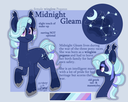 Size: 2500x2000 | Tagged: safe, derpibooru import, oc, oc:midnight gleam, pony, character design, female, mare, reference sheet