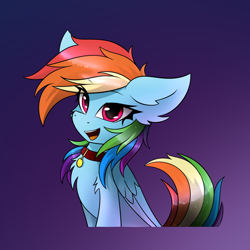 Size: 1300x1300 | Tagged: safe, artist:rejiser, derpibooru import, rainbow dash, pegasus, pony, black background, chest fluff, collar, ears back, gradient background, halfbody, looking at you, open mouth, open smile, pet tag, pet-dash, pony pet, simple background, smiling, solo, tail, wings