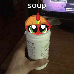 Size: 433x433 | Tagged: safe, artist:nootaz, derpibooru import, oc, oc:soup, original character do not steal, ponified animal photo