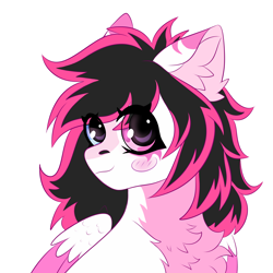 Size: 2000x2000 | Tagged: safe, artist:kutemango, derpibooru import, oc, oc only, oc:lunylin, pegasus, pony, bust, chest fluff, commission, cute, ear fluff, ears, fluffy, heterochromia, pink, simple background, sketch, solo, white background