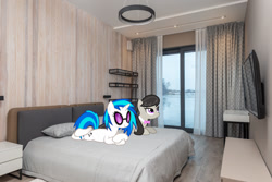 Size: 1280x854 | Tagged: safe, artist:alexiy777, artist:zacatron94, derpibooru import, edit, editor:jaredking779, dj pon-3, octavia melody, vinyl scratch, earth pony, pony, unicorn, bed, bowtie, duo, female, irl, lying down, mare, photo, ponies in real life, prone, sploot, sunglasses