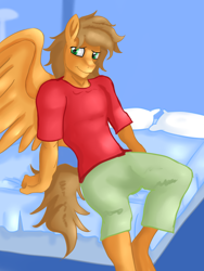 Size: 1620x2160 | Tagged: safe, alternate version, artist:jbond, derpibooru import, oc, oc:jacky breeze, anthro, pegasus, pony, anthro oc, bed, bedroom, clothes, male, on bed, pegasus oc, shirt, sitting, solo, spread wings, t-shirt, wings