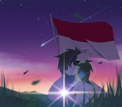 Size: 1500x1318 | Tagged: safe, artist:coarfdraw, derpibooru import, oc, oc only, oc:jet blast, pegasus, chest fluff, ear fluff, ears, flag, flag pole, flag waving, floppy ears, grass, independence day, indonesia, looking at you, meteor, mountain, perseids meteor, raised hoof, raised leg, smiling, smiling at you, sunrise