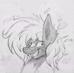Size: 1925x1909 | Tagged: safe, artist:reekosukanku, derpibooru import, oc, oc:reeko, earth pony, pony, skunk, skunk pony, big ears, black and white, bust, ears, fangs, grayscale, looking at you, messy mane, monochrome, pencil drawing, photo, simple background, sketch, sketch dump, smiling, smiling at you, solo, traditional art, wide smile
