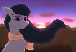 Size: 827x562 | Tagged: safe, artist:gosha305, derpibooru import, octavia melody, earth pony, pony, bust, cheek fluff, chest fluff, clothes, cute, ear fluff, ears, eyelashes, female, flowing mane, looking at you, mare, portrait, scarf, smiling, smiling at you, solo, sun, sunset, wind