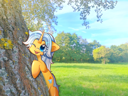 Size: 4000x3000 | Tagged: safe, artist:miwq, derpibooru import, oc, oc:aurore soleilevant, pony, unicorn, irl, orange coat, photo, ponies in real life, sky, tree