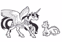 Size: 3448x2328 | Tagged: safe, artist:foldawaywings, derpibooru import, spike, twilight sparkle, twilight sparkle (alicorn), alicorn, dragon, pony, black and white, brother and sister, clothes, duo, female, grayscale, ink drawing, leg wraps, male, mare, monochrome, quadrupedal spike, realistic anatomy, realistic horse legs, siblings, simple background, traditional art, white background