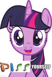 Size: 500x741 | Tagged: safe, derpibooru import, twilight sparkle, alicorn, pony, caption, expand dong, exploitable meme, image macro, meme, microsoft, powerpoint, shitposting