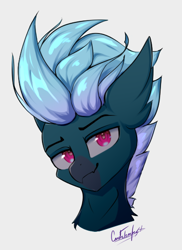 Size: 390x537 | Tagged: safe, artist:cmdrtempest, derpibooru import, oc, oc only, oc:dark skroll, hippogriff, bust, cute, looking at you, portrait, signature, simple background, smiling, solo