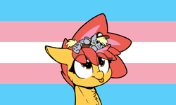 Size: 800x480 | Tagged: safe, edit, derpy hooves, oc, oc only, oc:ciaran, pony, bait, beady eyes, cheek fluff, chest fluff, clothes, drama bait, ear fluff, ears, floppy ears, folded wings, gender headcanon, hat, headcanon, lgbt, lgbt headcanon, lgbtq, mailmare, multicolored hair, multicolored mane, op isn't even trying anymore, plushie, pony plush, pride, pride flag, smiling, solo, tongue, tongue out, transgender, transgender pride flag