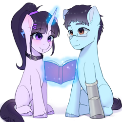 Size: 2048x2048 | Tagged: safe, artist:xiaowu07, derpibooru import, oc, oc only, earth pony, pony, unicorn, amputee, book, collar, disabled, duo, duo male and female, female, glasses, magic, male, mare, ponytail, prosthetic limb, prosthetics, shipping, simple background, sitting, smiling, stallion, straight, white background