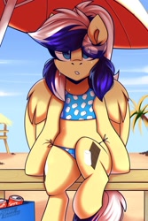 Size: 1500x2250 | Tagged: safe, artist:shadowreindeer, derpibooru import, oc, oc:animatedpony, pegasus, pony, beach, bikini, clothes, commission, solo, swimsuit, ych result, your character here