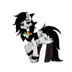 Size: 1280x1280 | Tagged: safe, artist:moodipone, derpibooru import, oc, oc only, oc:double m, earth pony, pony, bell, bell collar, black mane, black tail, boots, brown eyes, cheek fluff, chest fluff, clothes, collar, earth pony oc, fluffy, jacket, looking at you, male, shoes, simple background, smiling, smiling at you, solo, stallion, tail, white background, white coat, wingding eyes