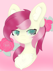 Size: 1790x2388 | Tagged: safe, artist:sodapop sprays, derpibooru import, roseluck, earth pony, pony, blushing, bust, chest fluff, commission, ear fluff, ears, gradient background, looking at you, solo, ych result