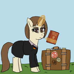 Size: 1668x1668 | Tagged: safe, artist:dafid25, derpibooru import, oc, pony, unicorn, clothes, flag pin, german flag, guangdong, hitachi, lain iwakura, magic, office lady, passport, skirt, solo, suitcase, telekinesis, the new order: last days of europe