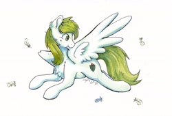 Size: 5524x3756 | Tagged: safe, artist:lightisanasshole, derpibooru import, oc, oc only, oc:herald flame, pegasus, pony, chest fluff, feather, grooming, male, pegasus oc, preening, simple background, solo, spread wings, stallion, white background, wings