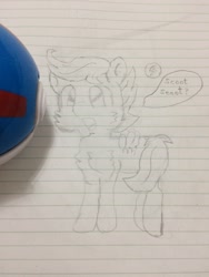 Size: 2448x3264 | Tagged: safe, artist:sweetsterty, derpibooru import, scootaloo, pegasus, pony, cheek fluff, chest fluff, cute, cutealoo, drawing, female, irl, lined paper, photo, poké ball, pokémon, scootachicken, silly, traditional art