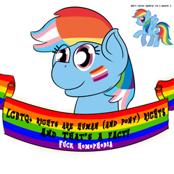 Size: 2000x2000 | Tagged: safe, artist:da bunnana king, edit, rainbow dash, pegasus, pony, /s4s/, 4chan, anonymous editor, bust, dyed mane, face paint, female, gay pride flag, lesbian, lesbian pride flag, lgbt, lgbtq, mane dye, mare, mouthpiece, multicolored hair, multicolored mane, old banner, open mouth, open smile, pride, pride flag, protest, rainbow, rainbow flag, raised hoof, raised leg, simple background, smiley face, smiling, solo, spread wings, stock vector, text, trans, transgender, transgender pride flag, white background