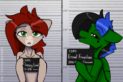 Size: 1920x1280 | Tagged: safe, artist:endelthepegasus, derpibooru import, oc, oc:endel frostlion, oc:flappy smile, pegasus, barbie mugshot meme, duo, looking at you, meme, mugshot, open mouth, smiling, smiling at you