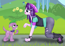 Size: 1280x903 | Tagged: safe, artist:lennondash, derpibooru import, edit, spike, starlight glimmer, dog, human, equestria girls, all fours, beanie, boots, breasts, clothes, collar, female, flower, hat, humans doing horse things, male, open mouth, pants, ripped pants, shipping, shoes, side view, sparlight, speech bubble, spike the dog, spiked collar, starlight jiggler, straight, torn clothes, vest, watch, wristwatch