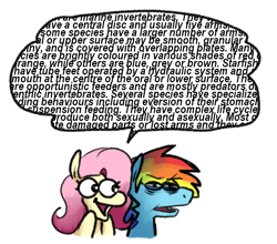 Size: 866x761 | Tagged: safe, artist:punkittdev, derpibooru import, fluttershy, rainbow dash, pegasus, pony, bags under eyes, cute, dialogue, female, flutterdash, irrational exuberance, lesbian, mare, shipping, shyabetes, simple background, smiling, speech bubble, text, wall of text, white background