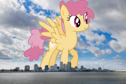 Size: 2047x1365 | Tagged: safe, artist:starryshineviolet, derpibooru import, edit, editor:jaredking779, dizzy twister, orange swirl, pegasus, pony, background pony, female, giant pony, giantess, highrise ponies, irl, louisiana, macro, mare, new orleans, photo, ponies in real life, solo