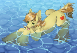 Size: 2000x1401 | Tagged: safe, artist:arhont, derpibooru import, braeburn, earth pony, pony, g4, cel shading, commission, cute, looking at you, male, outdoors, shading, solo, stallion, stupid sexy braeburn, tongue, tongue out, two toned mane, water, ych result